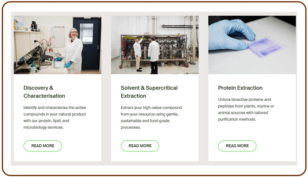 Understanding Agricultural Export Patterns Across Global Trade Channels