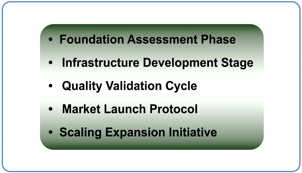Implementation Roadmap